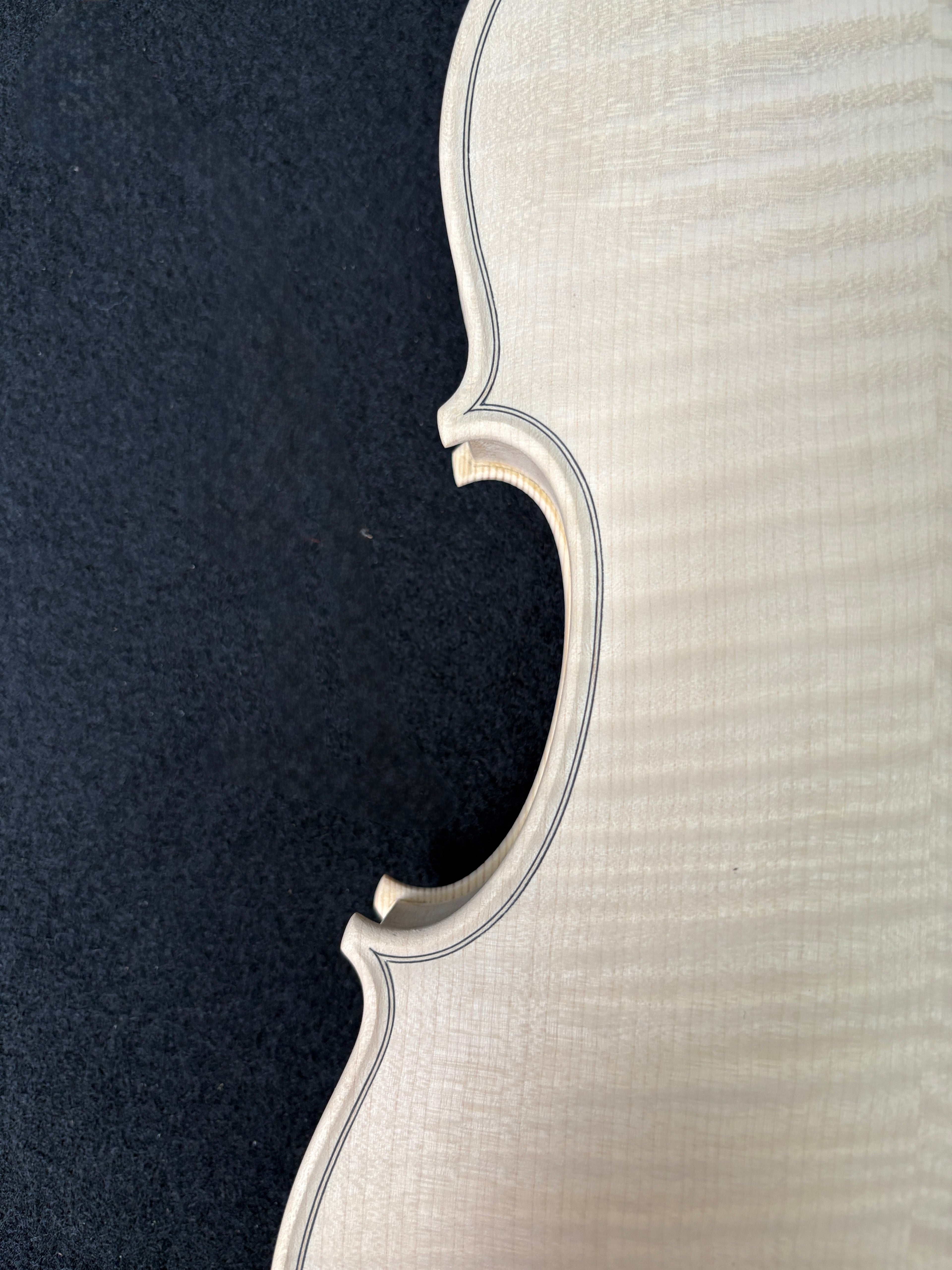 Guarneri 'D'Egville' - White Violin Body 4/4