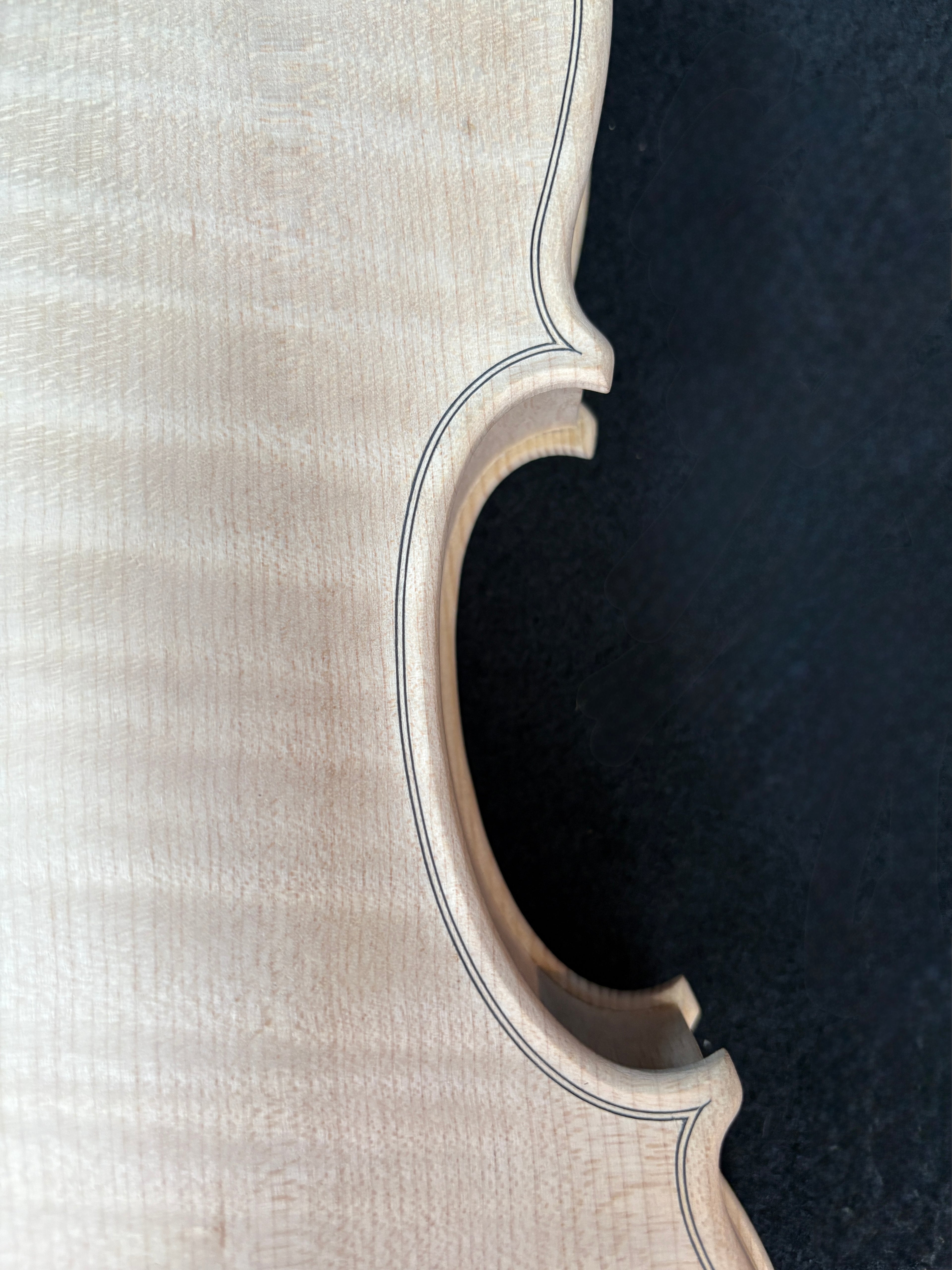 Guarnieri Lord Wilton - White Violin Body 4/4