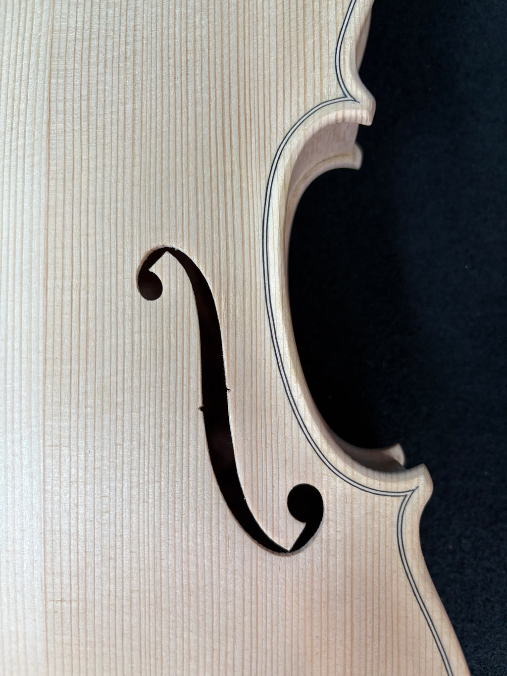 Guarnieri Lord Wilton - White Violin Body 4/4
