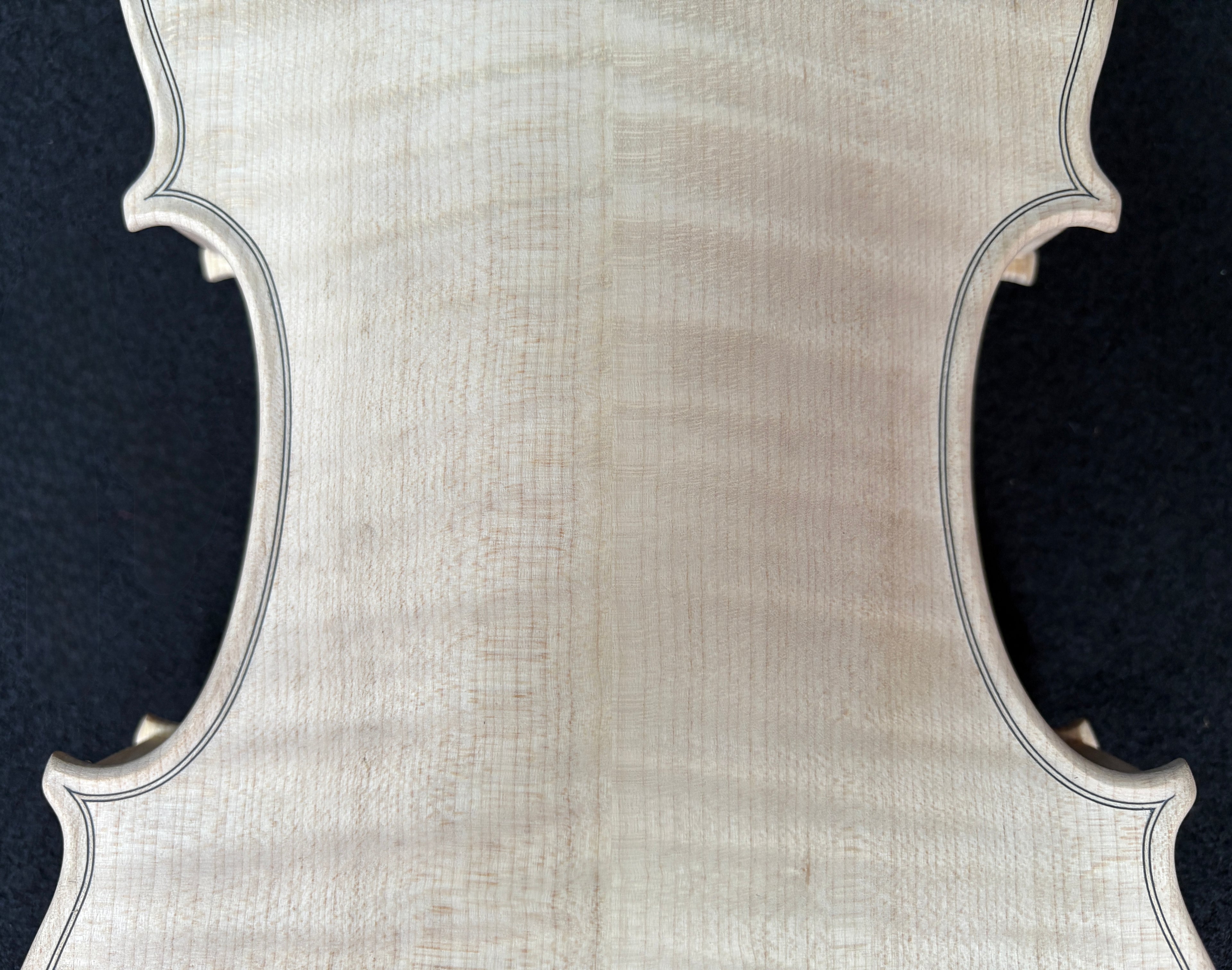 Guarnieri Lord Wilton - White Violin Body 4/4