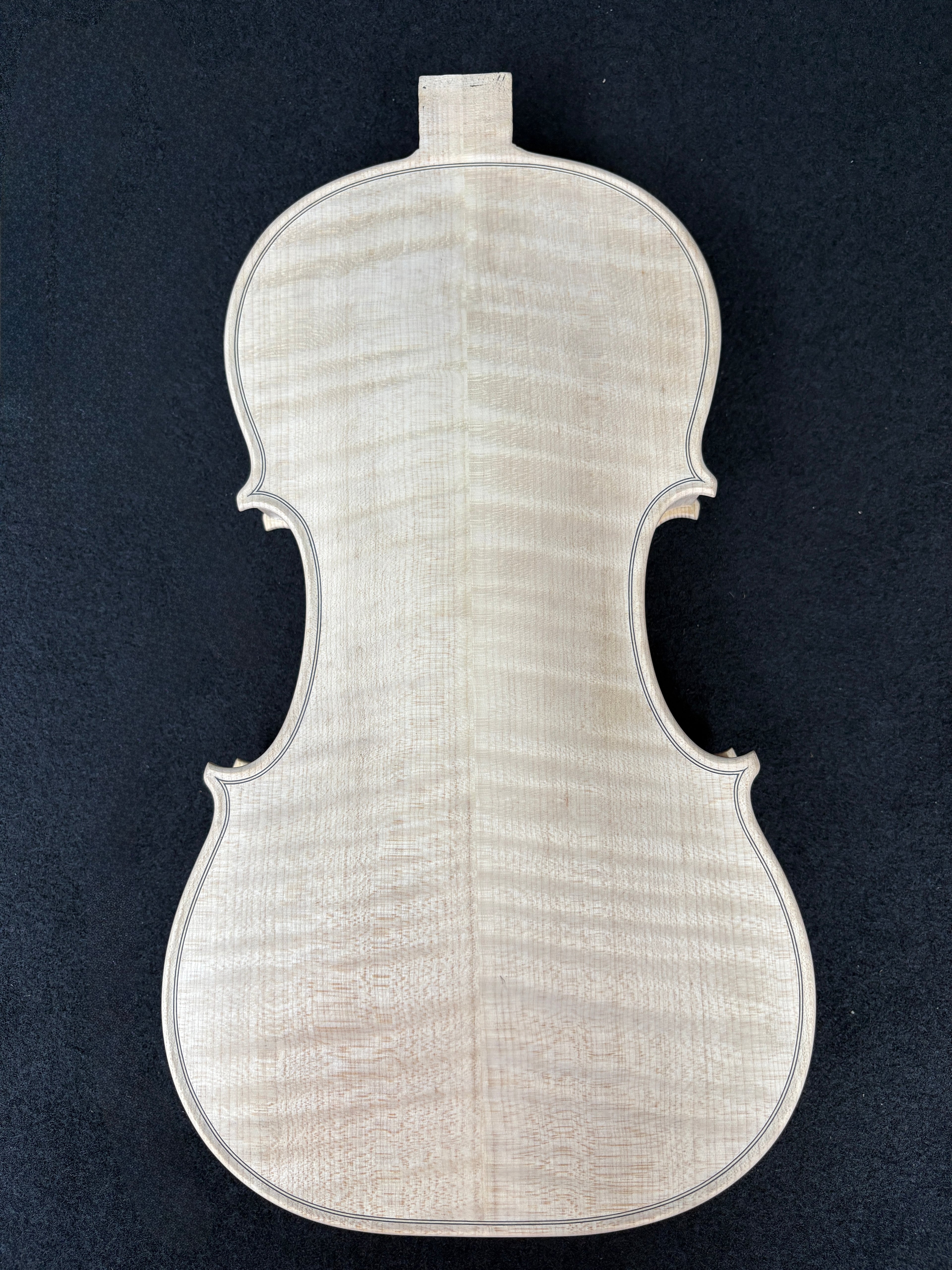 Guarnieri Lord Wilton - White Violin Body 4/4