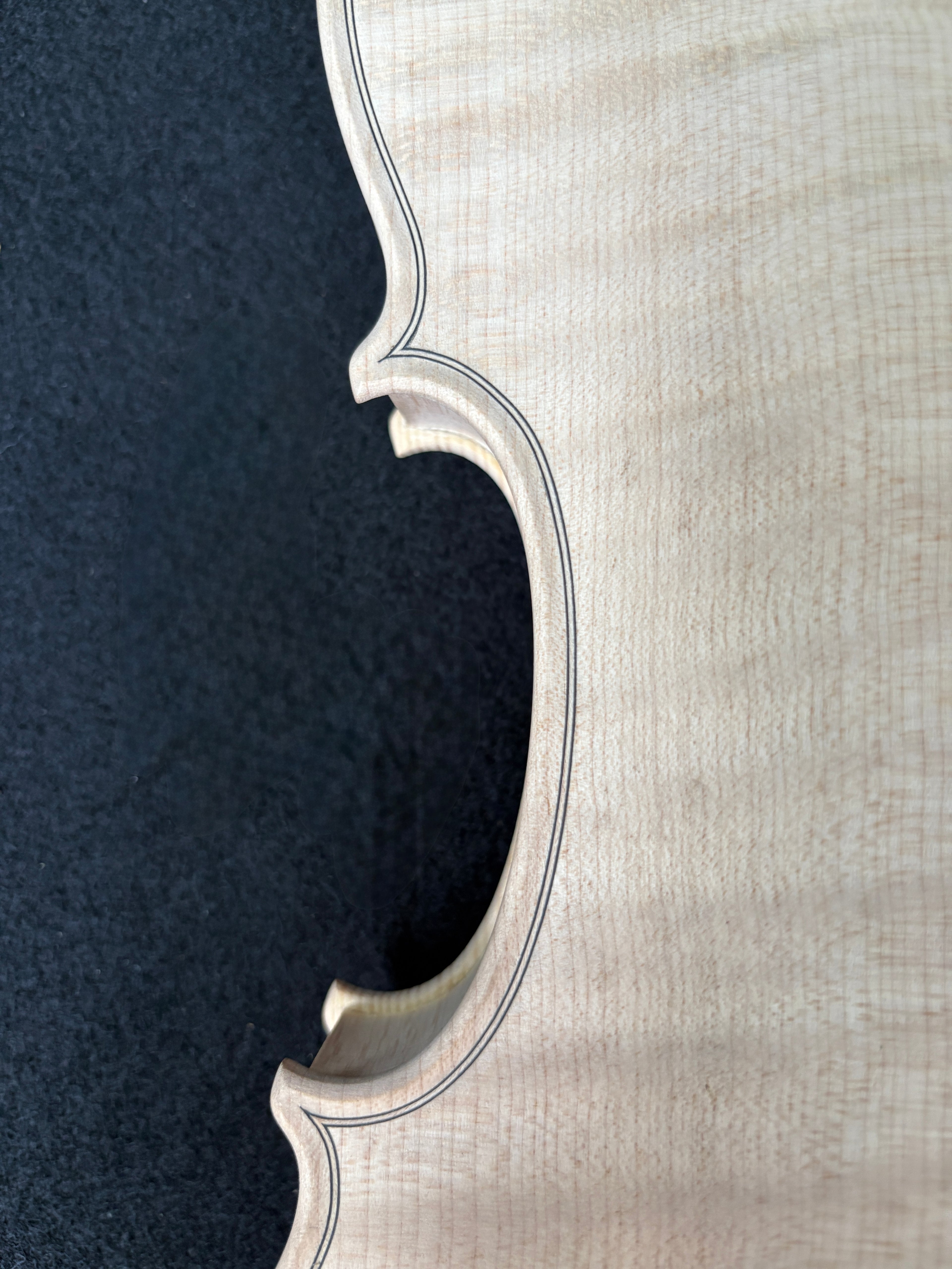 Guarnieri Lord Wilton - White Violin Body 4/4