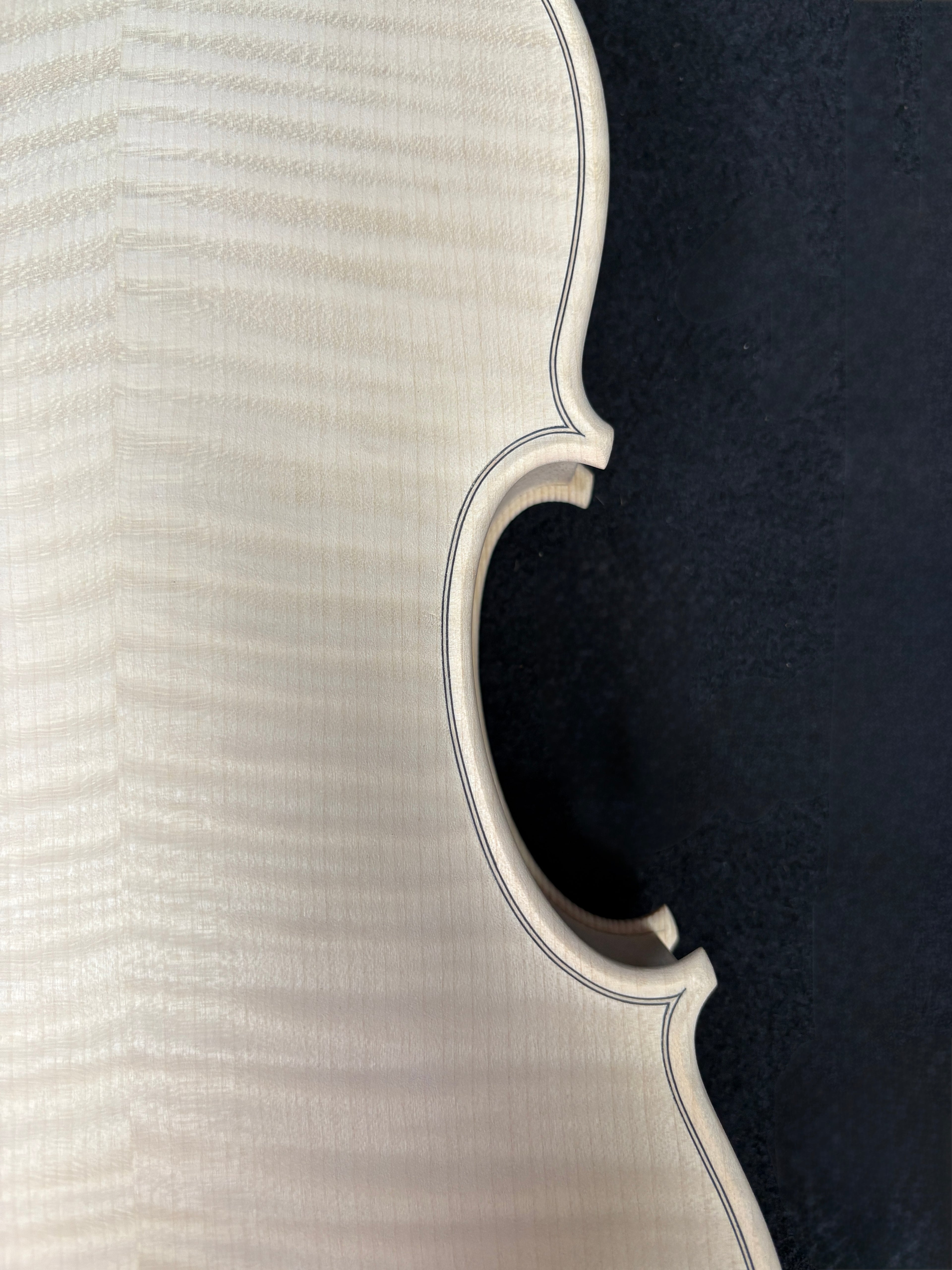 Guarneri 'D'Egville' - White Violin Body 4/4