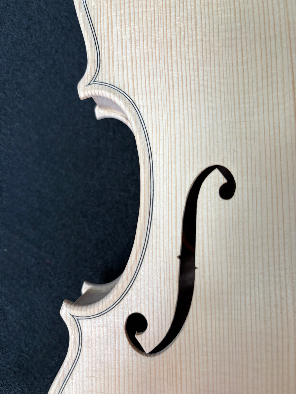 Guarnieri Lord Wilton - White Violin Body 4/4