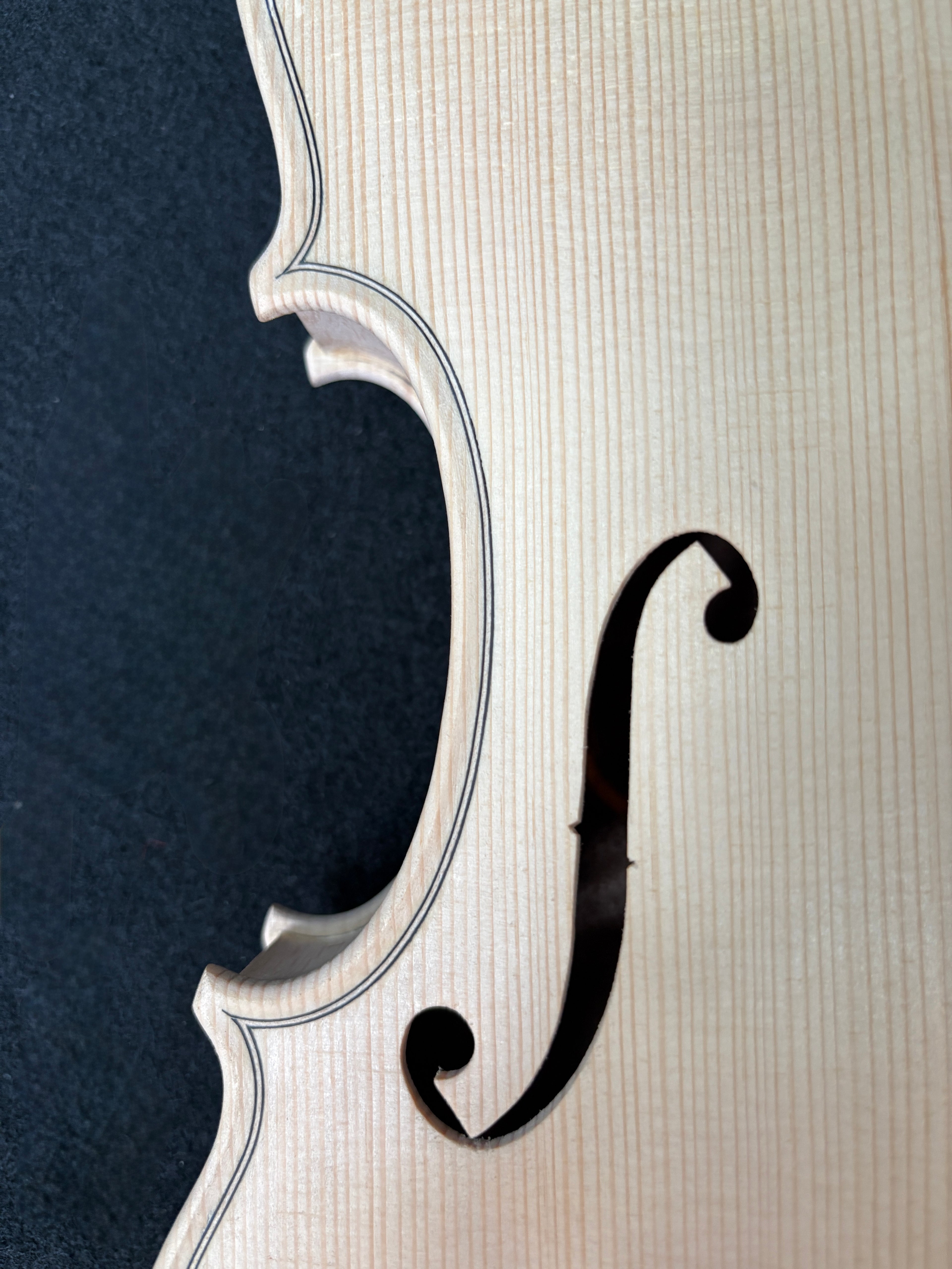 Guarnieri Lord Wilton - White Violin Body 4/4